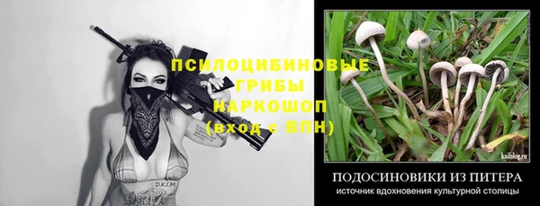 амф Лихославль