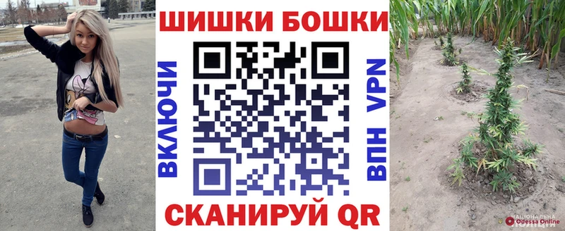 Конопля MAZAR  Купить  Кедровый 